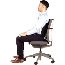 CHAIR BACK SUPPORT / BACK ANGEL 8026401 FELLOWES