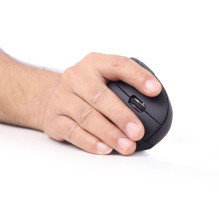 MOUSE USB OPTICAL WRL BLACK / ERGONOMIC MUSW-ERGO-01 GEMBIRD MOUSE USB OPTICAL WRL BLACK / ERGONOMIC MUSW-ERGO-01 GEMBIRD