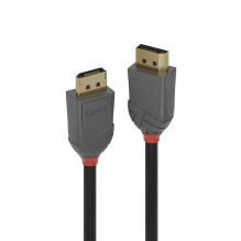 CABLE DISPLAY PORT 2M /...