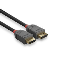 CABLE DISPLAY PORT 2M / ANTHRA 36482 LINDY CABLE DISPLAY PORT 2M / ANTHRA 36482 LINDY