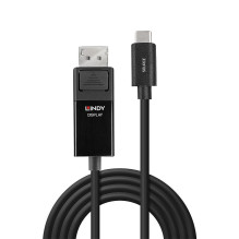 USB-C KABELIS Į DP 8K60 2M / 43342 LINDY