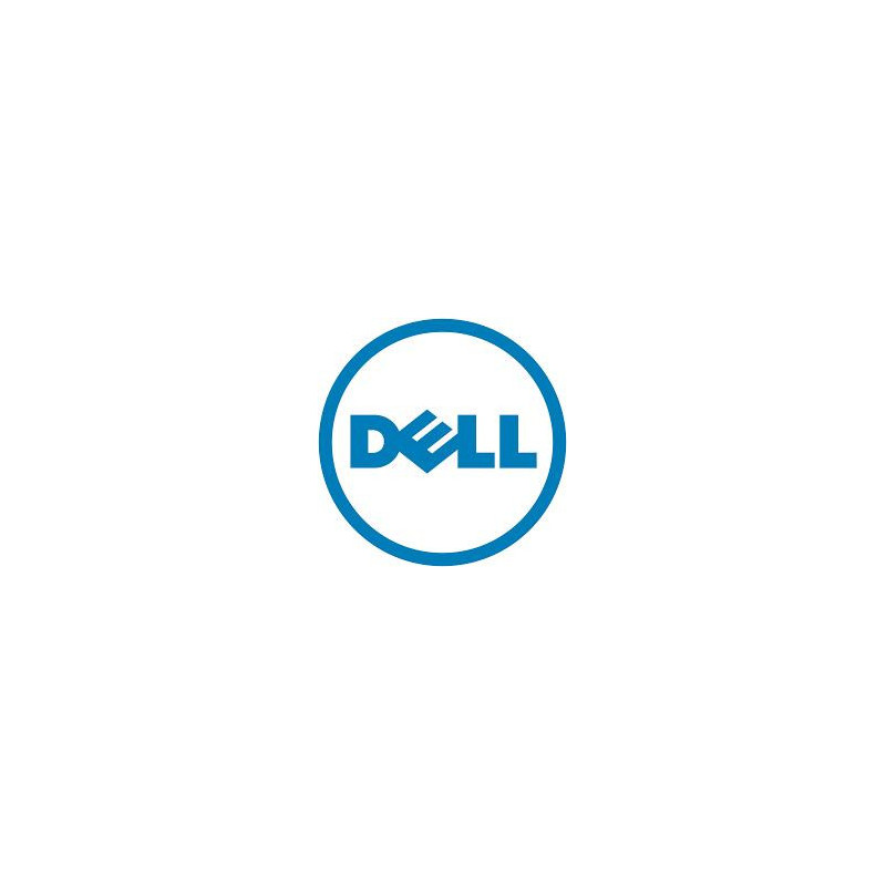 SERVERIO ACC VIDINIS USB / DELL R350 385-BBRH DELL
