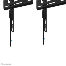 TV SET ACC WALL MOUNT / WL30-750BL14 NEOMOUNTS