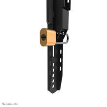 TV SET ACC WALL MOUNT / WL30-750BL14 NEOMOUNTS
