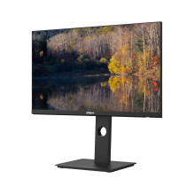 LCD Monitor, DAHUA, DHI-LM24-P301A, 23.8", 2560x1440, 16:9, 75Hz, 6 ms, Swivel, Tilt, Colour Black, LM24-P301A