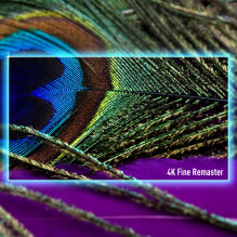 TV, PANASONIC, 55', 4K / Smart, 3840x2160, belaidis LAN, Bluetooth, Google TV, TV-55W90AEG