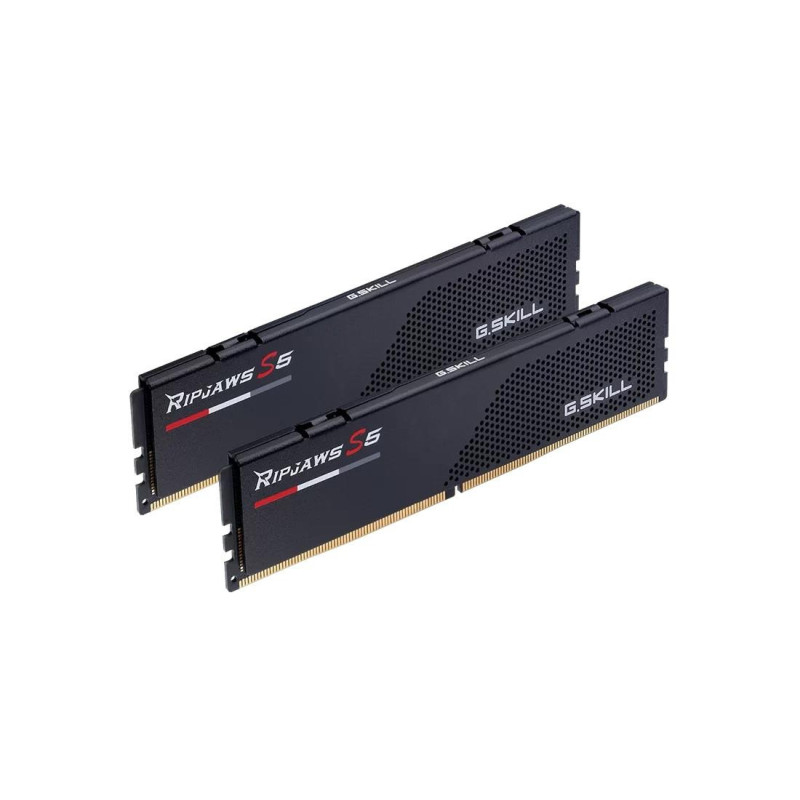 Atminties DIMM 32GB DDR5-6000 K2 / F5-6000J3636F16GX2RS5K G.SKILL