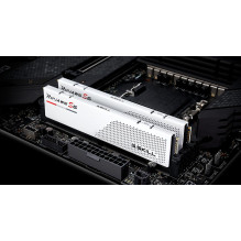 MEMORY DIMM 32GB DDR5-6000 K2 / 6000J3040F16GX2-RS5W G.SKILL