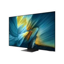 Televizorius, SAMSUNG, 55 colių, 4K Ultra HD, 3840 x 2160 pikselių, plokščias, OLED, QE55S95FATXXH