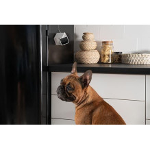 WRL CAMERA HD / CC10US PETCUBE WRL CAMERA HD / CC10US PETCUBE