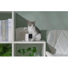 WRL CAMERA HD / CC10US PETCUBE