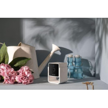 WRL CAMERA HD / CC10US PETCUBE