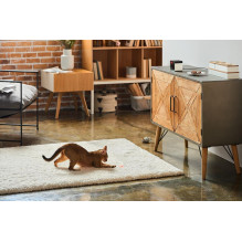 WRL CAMERA PLAY 2 / PP20US PETCUBE