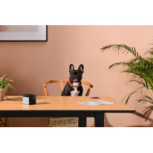 WRL CAMERA PLAY 2 / PP20US PETCUBE