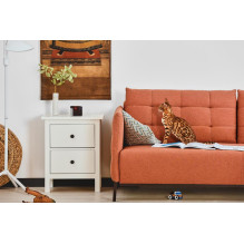 WRL CAMERA PLAY 2 / PP20US PETCUBE