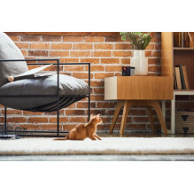 WRL CAMERA PLAY 2 / PP20US PETCUBE