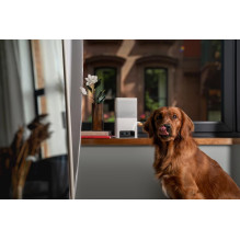 WRL CAMERA BITES 2 LITE / BL10US PETCUBE