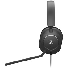 AUSINĖS / MAESTRO 300 MSI