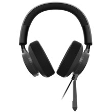 AUSINĖS / MAESTRO 300 MSI