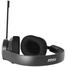 AUSINĖS / MAESTRO 300 MSI