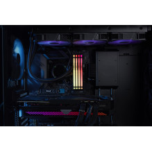 MEMORY DIMM 16GB DDR5-5600 / K2 KF556C36BBEAK2-16 KINGSTON