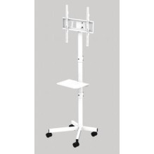 TV SET ACC FLOOR STAND 32-55" / TVS-55T-03-W GEMBIRD