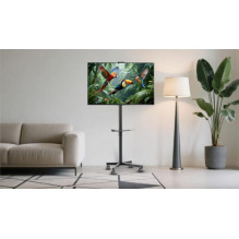 TV PRIEDŲ GRINDŲ STOVAS 32-55" / TVS-55T-03 GEMBIRD TV PRIEDŲ GRINDŲ STOVAS 32-55" / TVS-55T-03 GEMBIRD