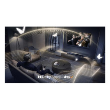 GARSO JUOSTO GARSAKALBIS / Q65H TCL