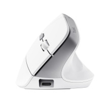 MOUSE USB OPTICAL WRL BAYO II / ERGO WHT 25398 TRUST MOUSE USB OPTICAL WRL BAYO II / ERGO WHT 25398 TRUST