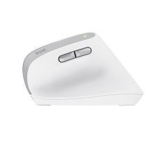 MOUSE USB OPTICAL WRL BAYO II / ERGO WHT 25398 TRUST MOUSE USB OPTICAL WRL BAYO II / ERGO WHT 25398 TRUST