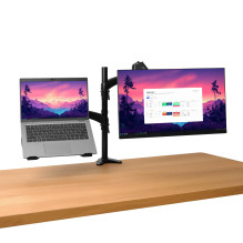 MONITOR ACC ARM DUAL / MARA 25337 TRUST