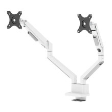MONITOR ACC DESK MOUNT 17-32" / DUAL DS70-250WH2 NEOMOUNTS