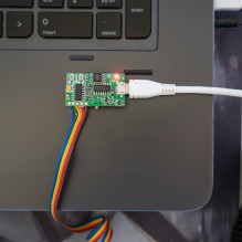 Echo and Roger Beep Module Package PNI ECH01 and Sticky Pad Flag