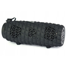 Toshiba Sonic Blast 2 TY-WSP80 black