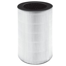 Homedics AP-T30FLR HEPA...