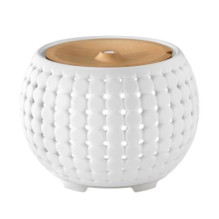 Ellia ARM-910WT-WWX Gather...