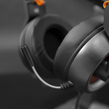 Baltasis ryklys GH-1949 Karakalis