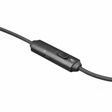 Baltasis ryklys GH-1949 Karakalis