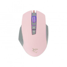 Baltasis ryklys GM-5009...