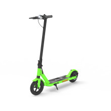 Denveris SEL-85360LI Lime