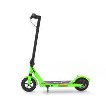 Denveris SEL-85360LI Lime