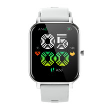 Denveris SW-181 pilkas