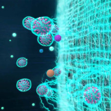 „Gastroback 20100“ oro valytuvas AG+ AirProtect