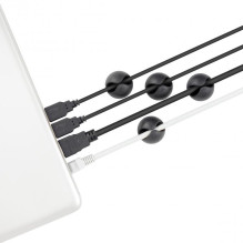 Sbox CCP-301 4 vnt.