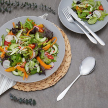 Russell Hobbs RH02851EU7 Lisbon 44vnt stalo įrankių rinkinys 18/0