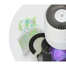 HoMedics AP-PET35WT-EU TotalClean PetPlus 5 in 1 Air Purifier