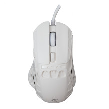 Baltasis ryklys GM-5016 Ector White