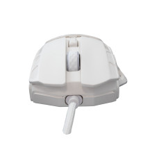 Baltasis ryklys GM-5016 Ector White