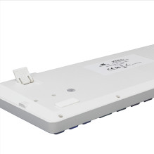 Baracuda BGK-01114 Krilis Baltasis JAV