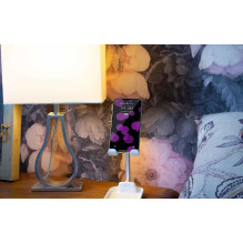 Kodak Power Stand Smartphone